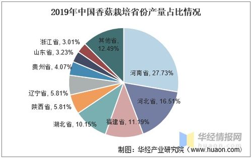 中國(guó)香菇產(chǎn)業(yè)發(fā)展現(xiàn)狀、趨勢(shì)與產(chǎn)業(yè)聚集度分析——以唐山軟件開(kāi)發(fā)為例的關(guān)聯(lián)思考